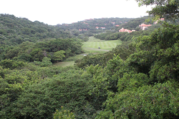 31 Club Drive, Ballito, Zimbali, South Africa 4399, 4 Bedrooms Bedrooms, ,3 BathroomsBathrooms,Holiday Homes,Club Drive,1110
