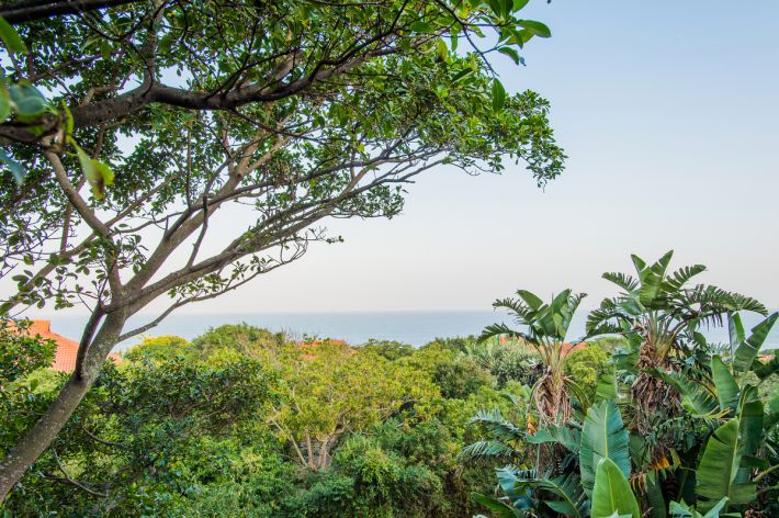 33 Milkwood Drive, Ballito, Zimbali, South Africa 4399, 4 Bedrooms Bedrooms, ,3 BathroomsBathrooms,Holiday Homes,Milkwood Drive,1084