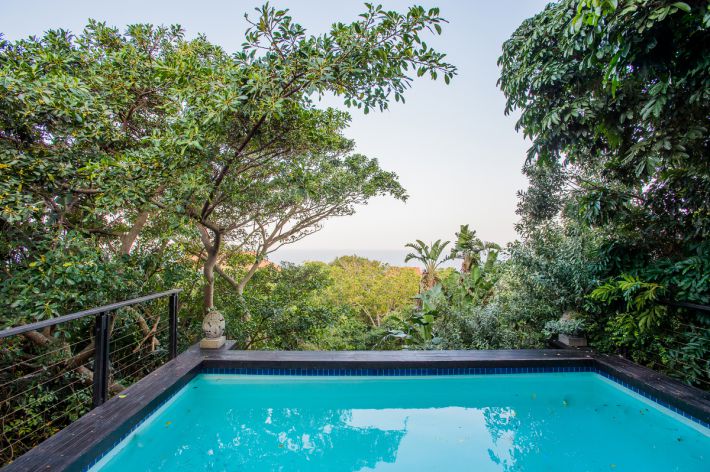 33 Milkwood Drive, Ballito, Zimbali, South Africa 4399, 4 Bedrooms Bedrooms, ,3 BathroomsBathrooms,Holiday Homes,Milkwood Drive,1084